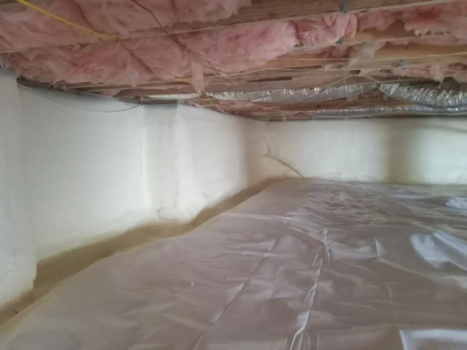 Crawl space encapsulation with closed-cell spray foam for Roof Maintenance in Reedurban